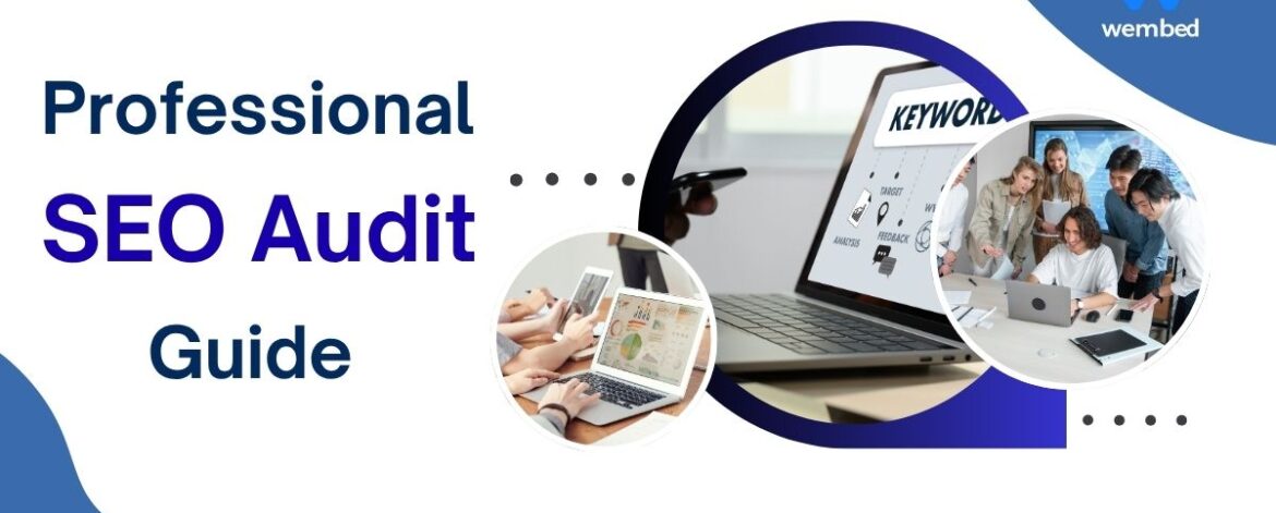 professional seo audit professional seo audit